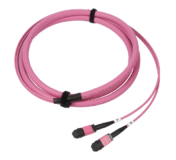 MPO Optic Patch Cord