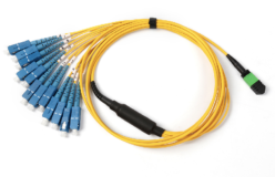 MPO-SC 12F Optic Patch Cord