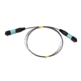 MPO-MPO 12F Optic Patch Cord