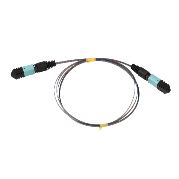 MPO-MPO 12F Optic Patch Cord
